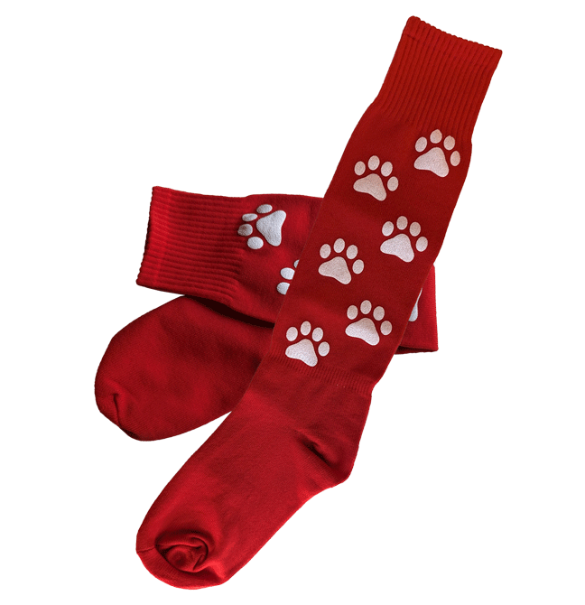 Barron Red Sox
